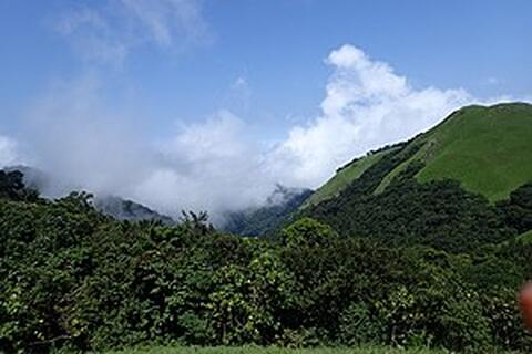 300px-Boshi_extension,_Okwangwo_Division_of_Cross_River_National_Park.3.jpg